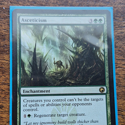 Wizards the coast - the, mtg